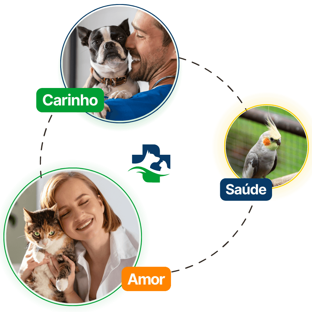 Clínica Veterinária Perto de Mim Taguatinga - Clínica Veterinária